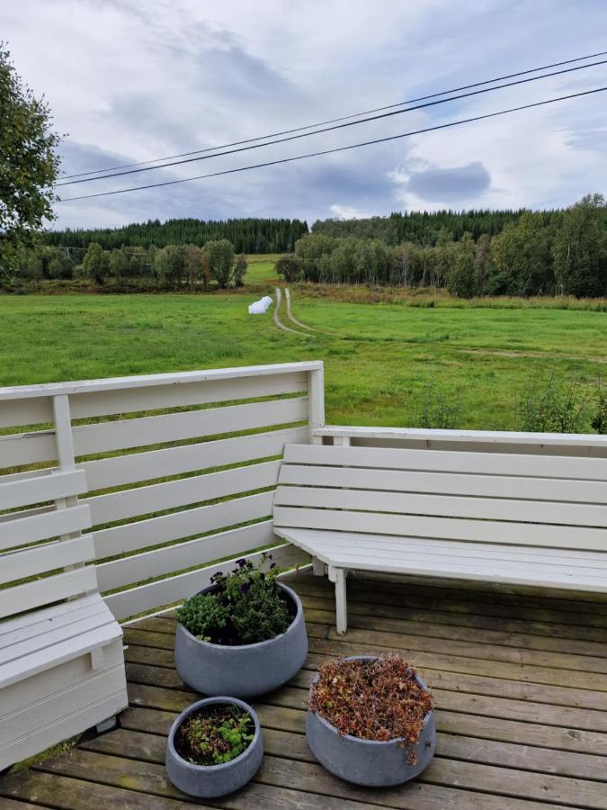 Warm And Cozy Cottage, Great Location Kvaloya Extérieur photo