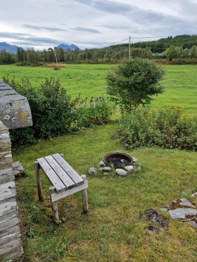 Warm And Cozy Cottage, Great Location Kvaloya Extérieur photo