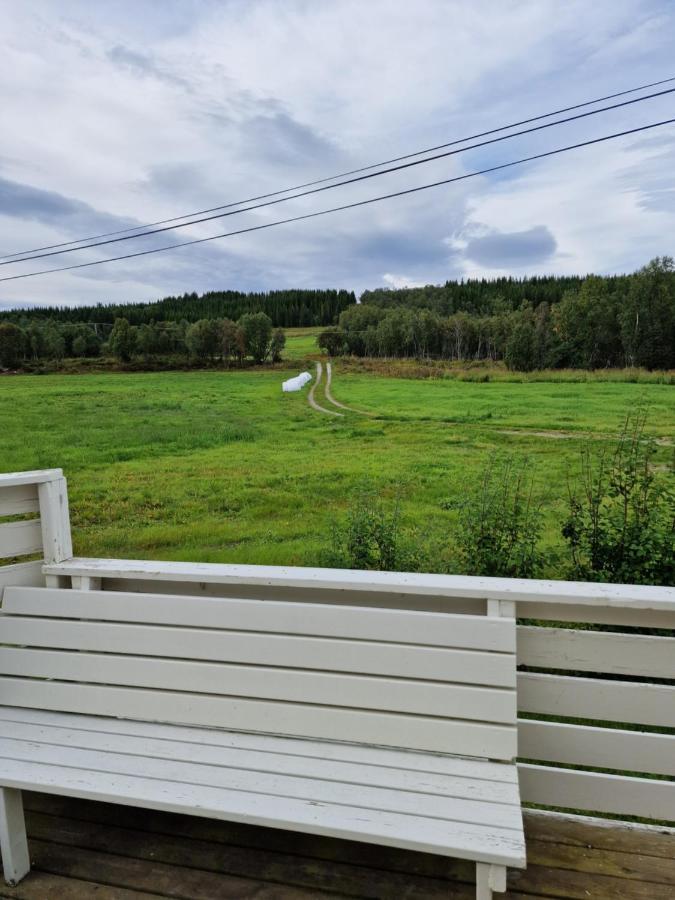 Warm And Cozy Cottage, Great Location Kvaloya Extérieur photo