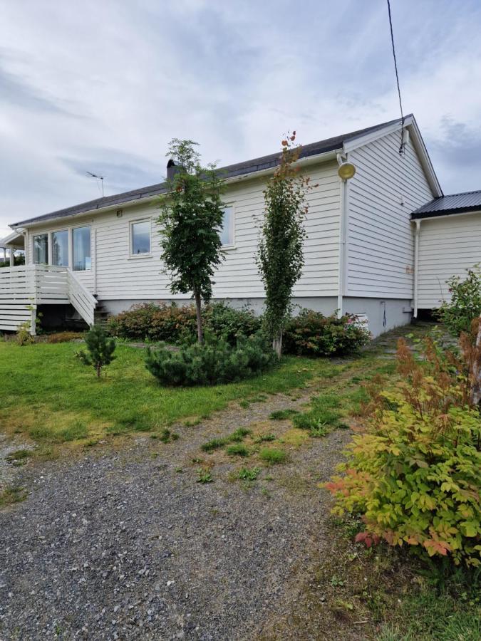 Warm And Cozy Cottage, Great Location Kvaloya Extérieur photo