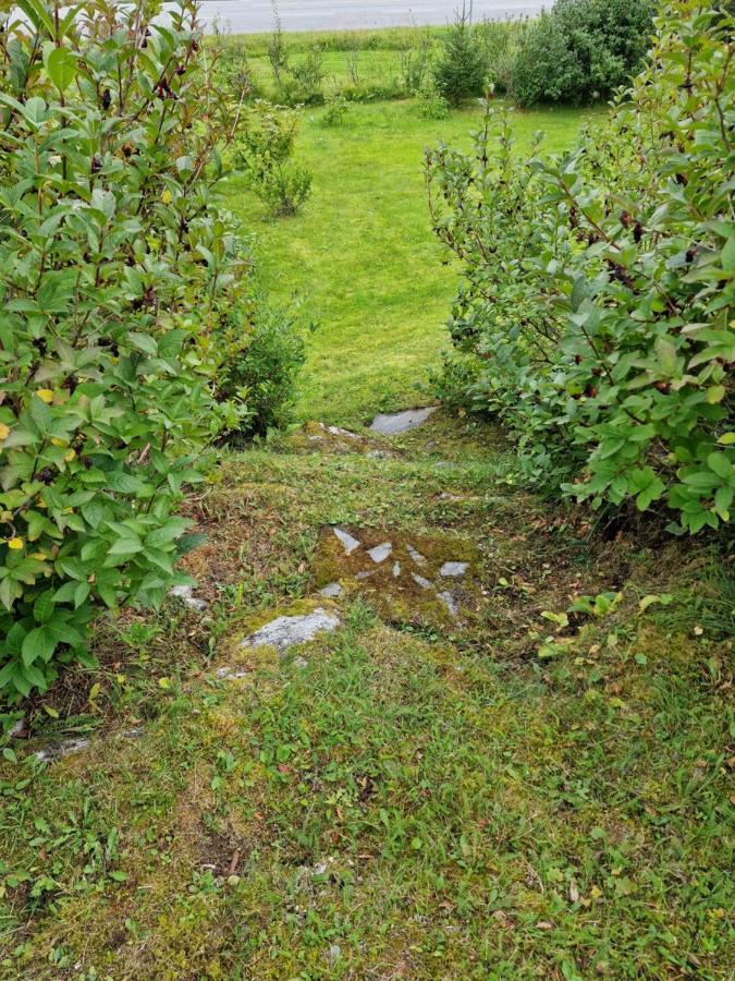 Warm And Cozy Cottage, Great Location Kvaloya Extérieur photo