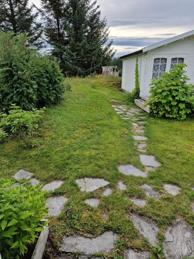 Warm And Cozy Cottage, Great Location Kvaloya Extérieur photo