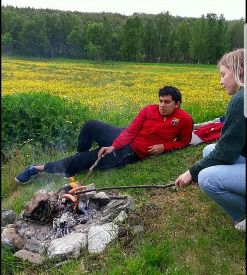 Warm And Cozy Cottage, Great Location Kvaloya Extérieur photo