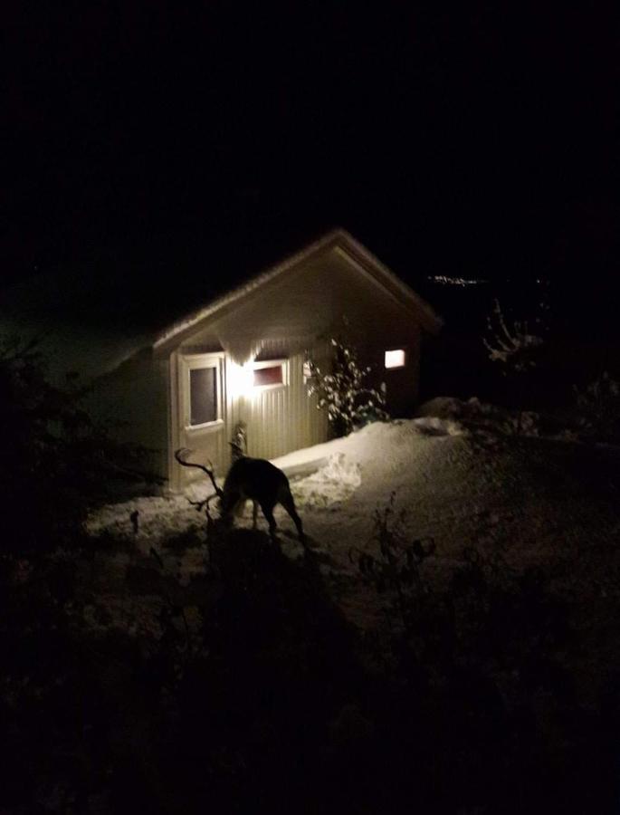 Warm And Cozy Cottage, Great Location Kvaloya Extérieur photo