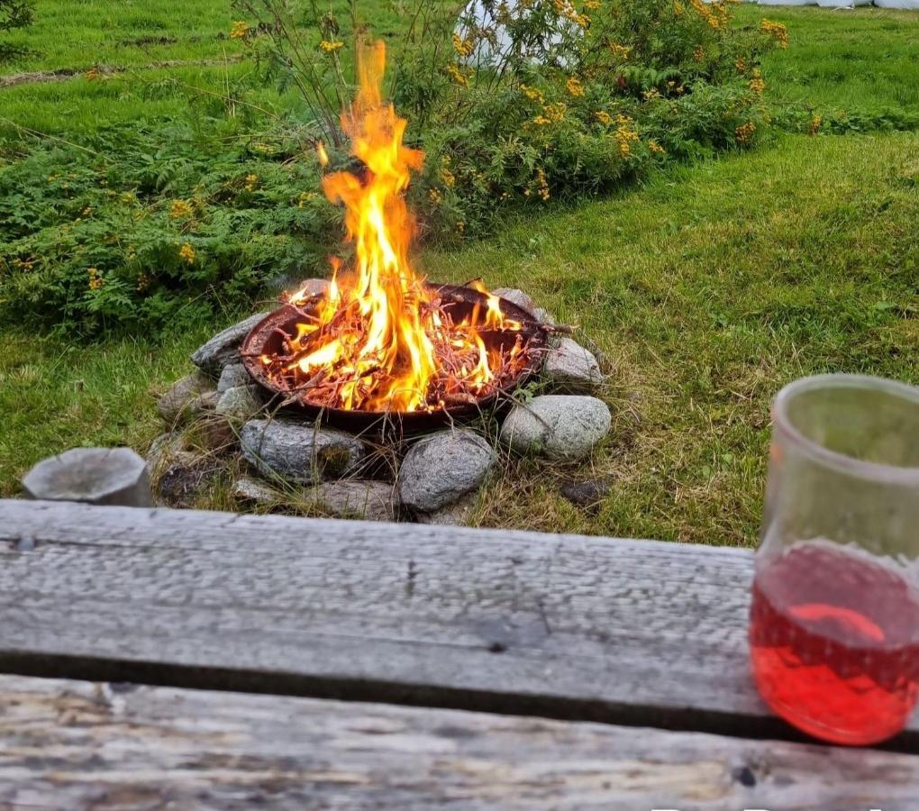 Warm And Cozy Cottage, Great Location Kvaloya Extérieur photo