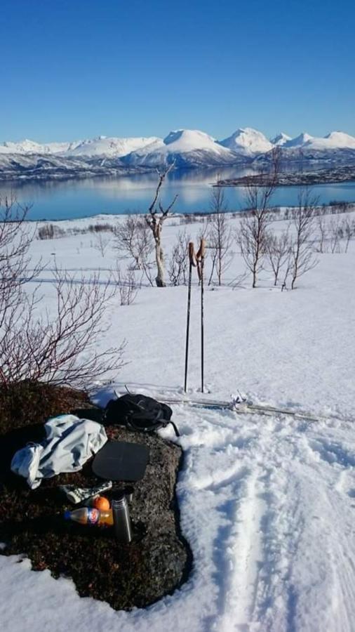 Warm And Cozy Cottage, Great Location Kvaloya Extérieur photo